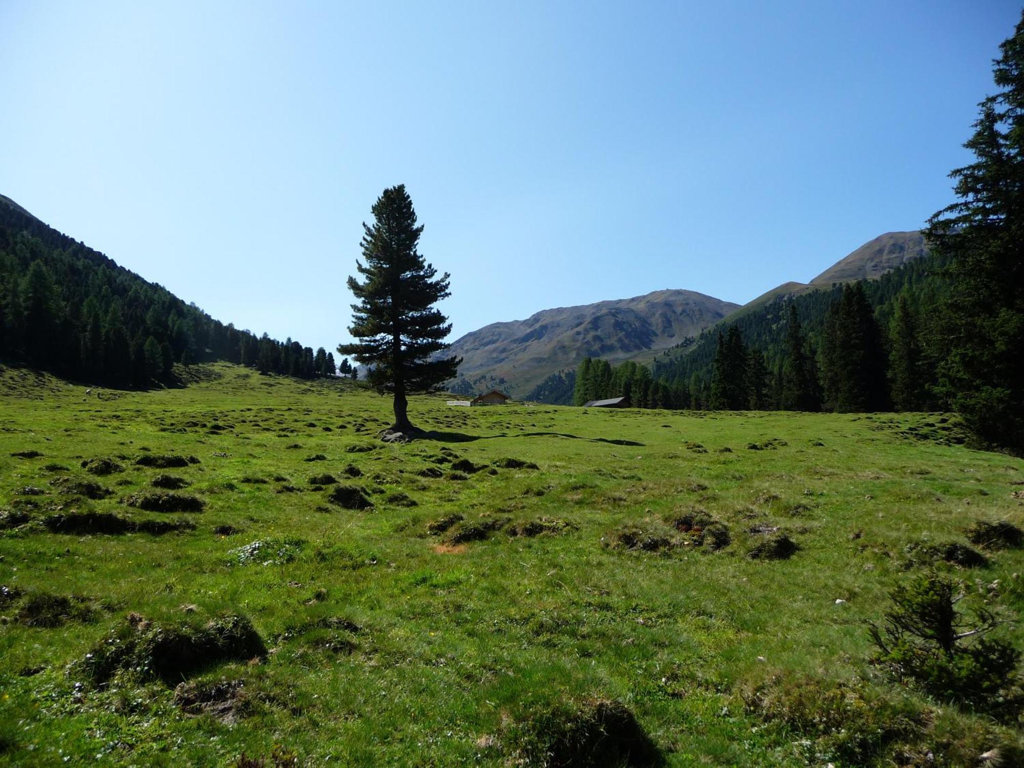 Apart Piz Mondin Pfunds Bagian luar foto